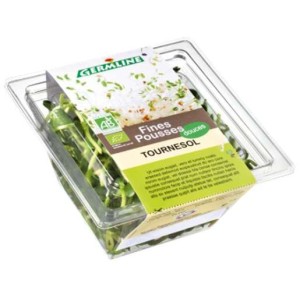 Pousses de tournesol BIO, Germline (50 g)