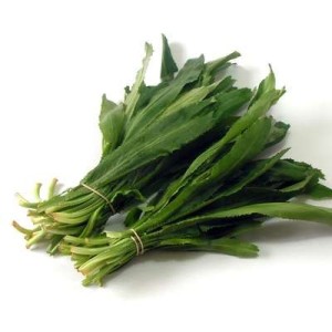 Coriandre longue - Ngo gai - Panicaut fétide (sachet de 100 g), Cambodge