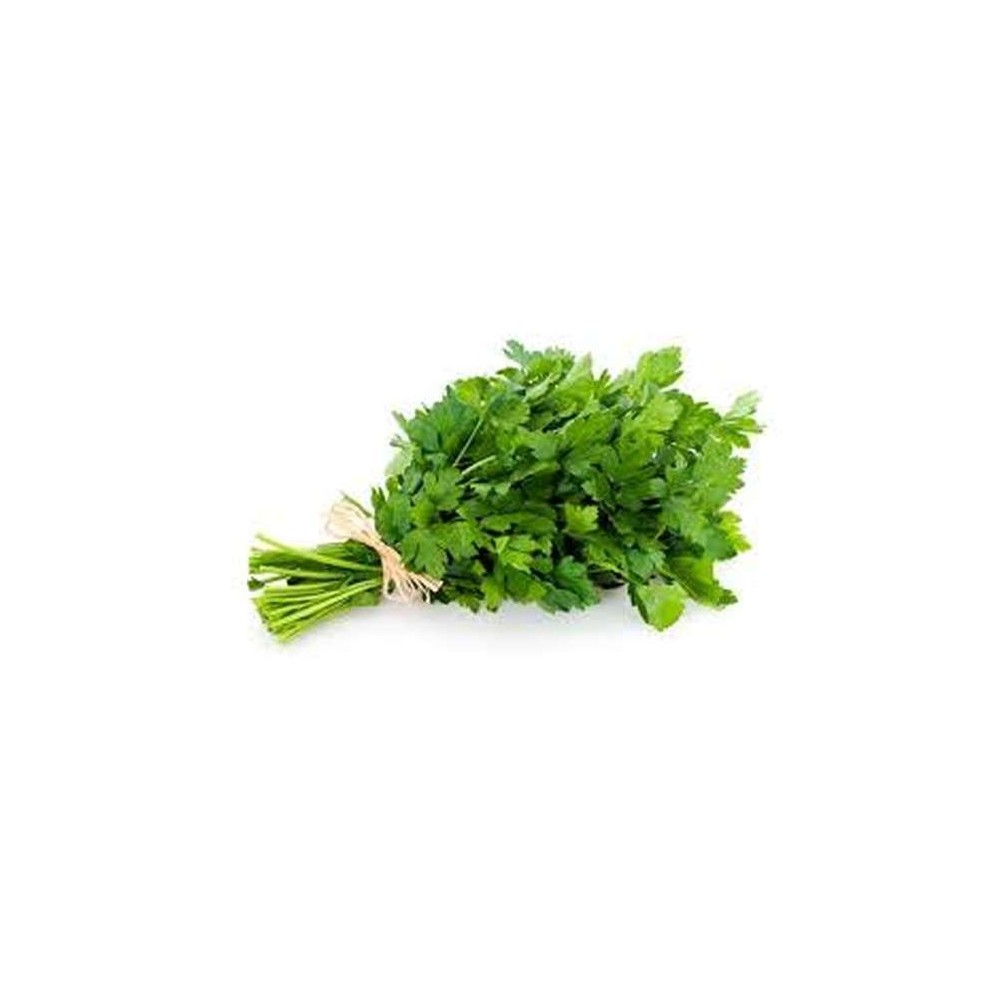 Persil plat botte, Espagne