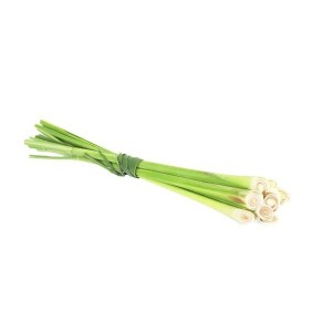 Pack de tiges de citronnelle fraîche (100 g), Vietnam