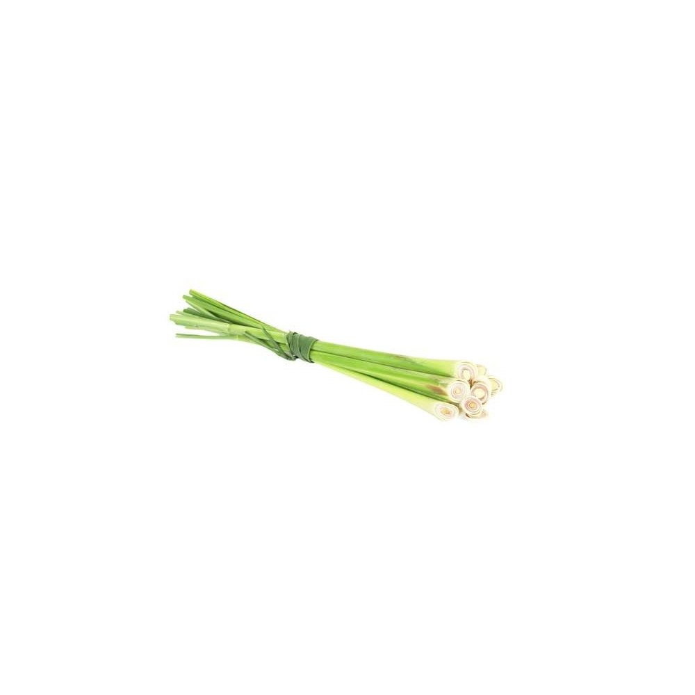 Pack de tiges de citronnelle fraîche (100 g), Vietnam