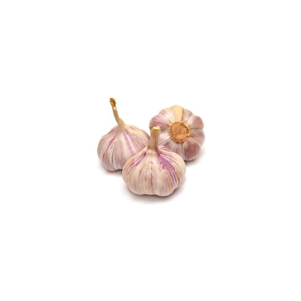 Ail rose (calibre moyen), Espagne