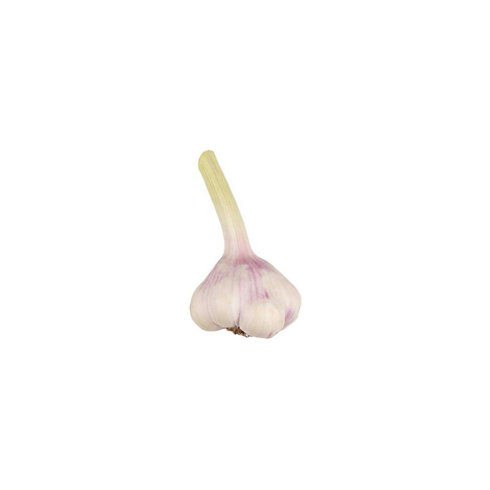Ail frais de Provence - Direct producteur (petit calibre), France