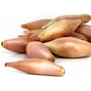Echalote BIO du Sud-Ouest - Direct producteur (pack de 300 g), France