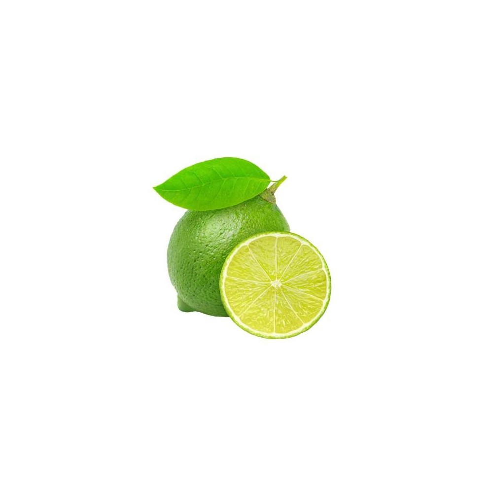 Citron vert Lime BIO (80 à 120 g) (calibre moyen), Brésil