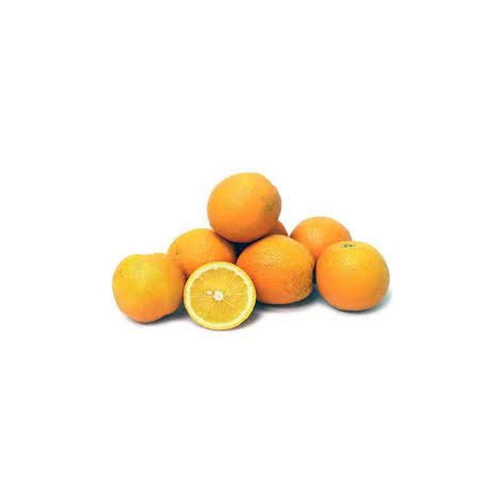 Lot de 8 oranges à jus BIO (petit calibre), Espagne