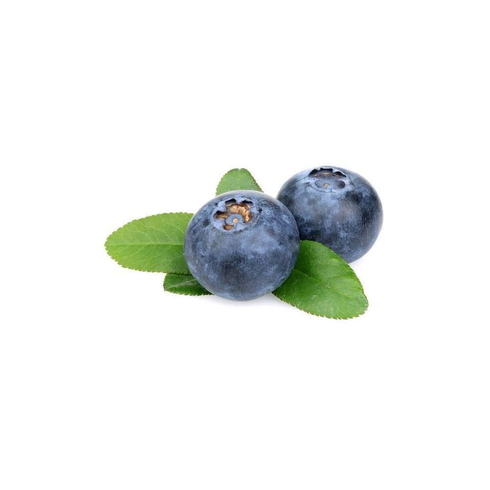 Barquette de myrtilles BIO (125 g), Portugal