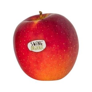 Pomme Swing BIO (petit calibre), France