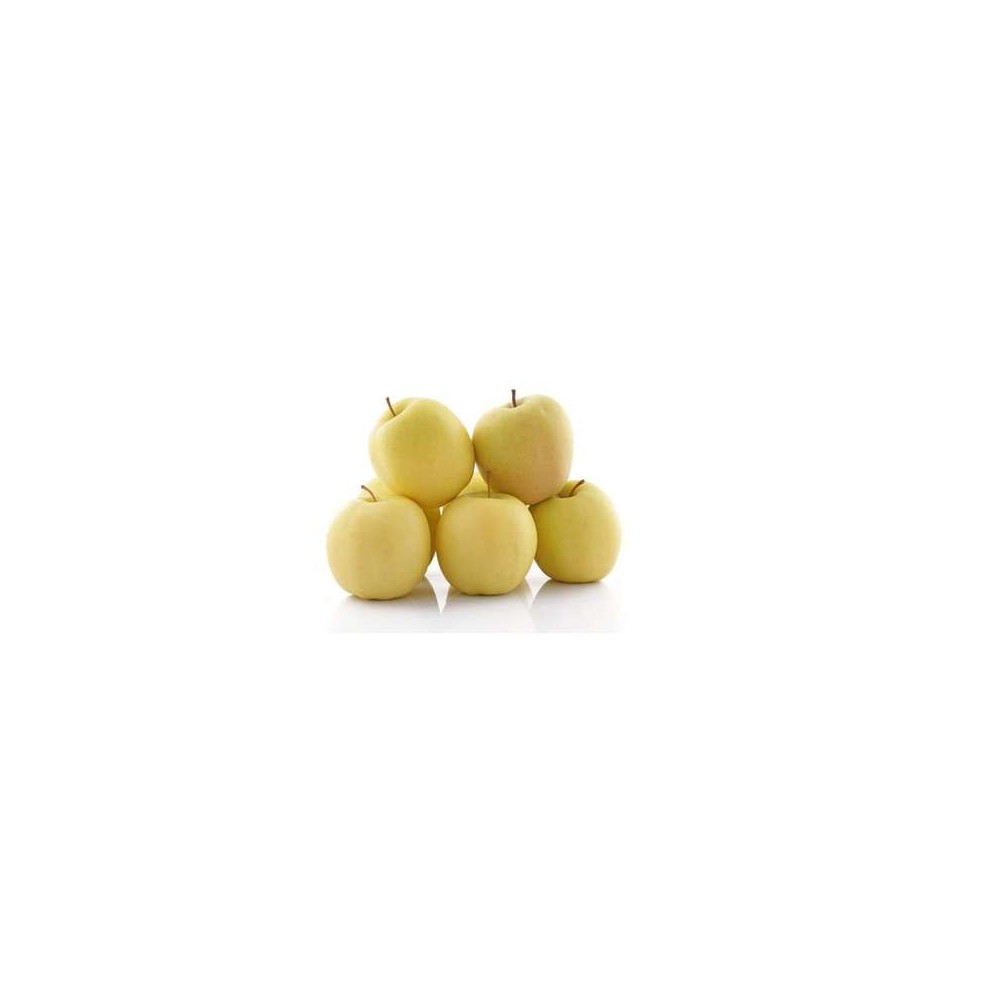 Lot de 6 pommes jaune Goldrush BIO du Sud-Ouest - direct producteur (petit calibre), France