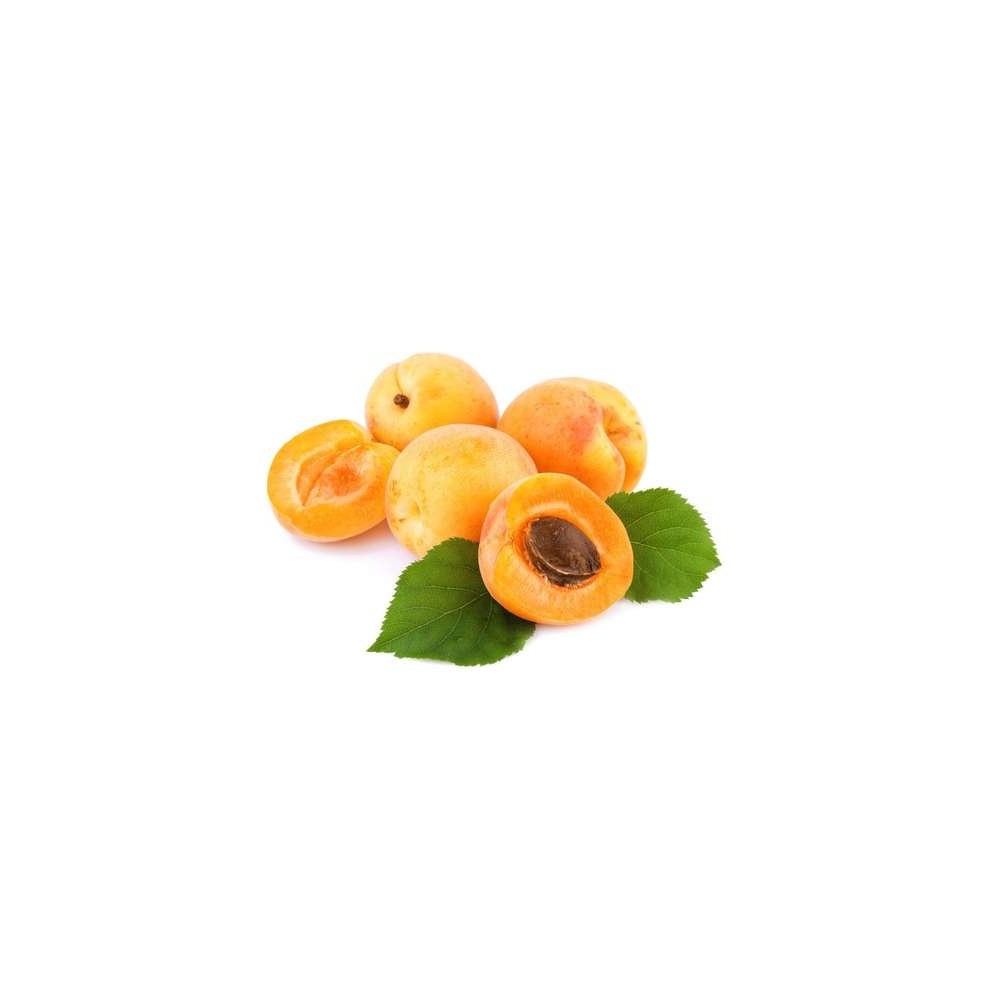 Lot de 4 abricots BIO (petit calibre), France