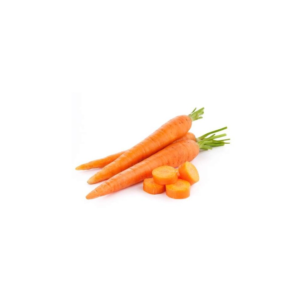 Carotte primeur BIO des Landes - direct producteur, France