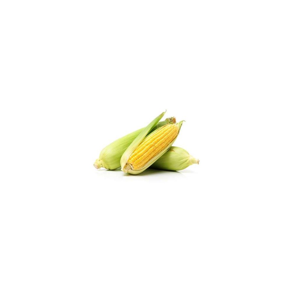 Epi de maïs cuit BIO (x 3, 600 g), France