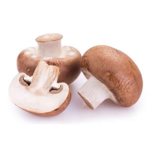 Champignon de Paris blond BIO (barquette 200 g), France