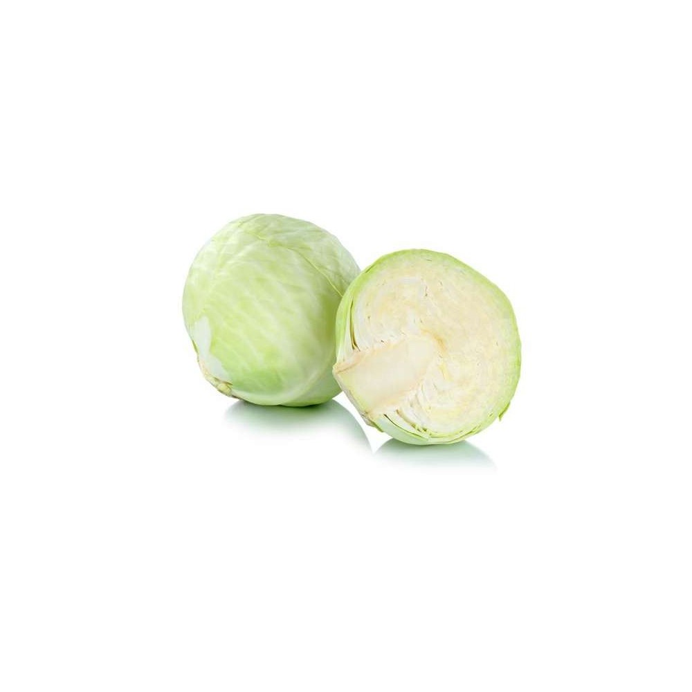 Chou blanc lisse BIO du Finistère Nord - Direct producteur (1.7 à 2.2 Kg) (gros calibre), France