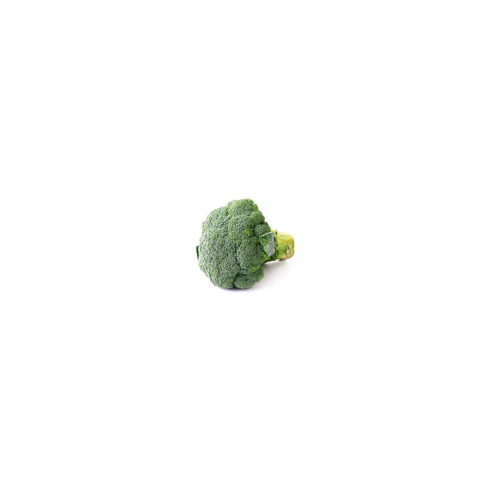 Brocoli BIO du Finistère Nord - Direct producteur (400 à 600 g) (calibre moyen), France