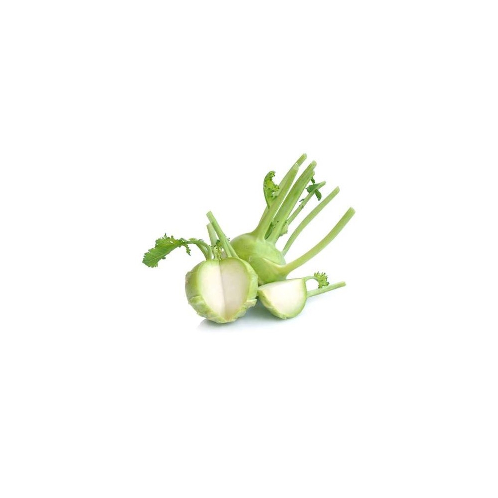 Chou rave vert BIO du Finistère Nord - direct producteur (très gros calibre), France