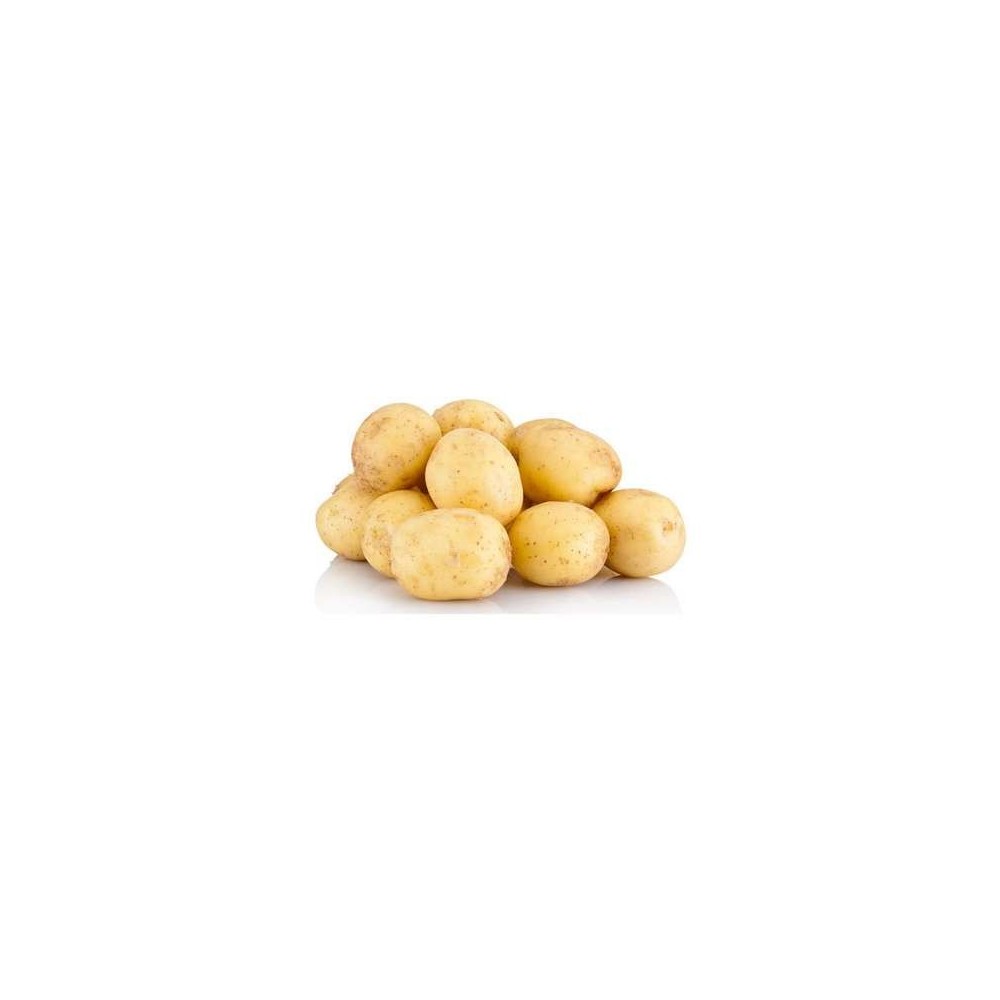 Pommes de terre primeur "Ostara" de l'ile de Batz - Direct producteur (sachet de 750 g), France