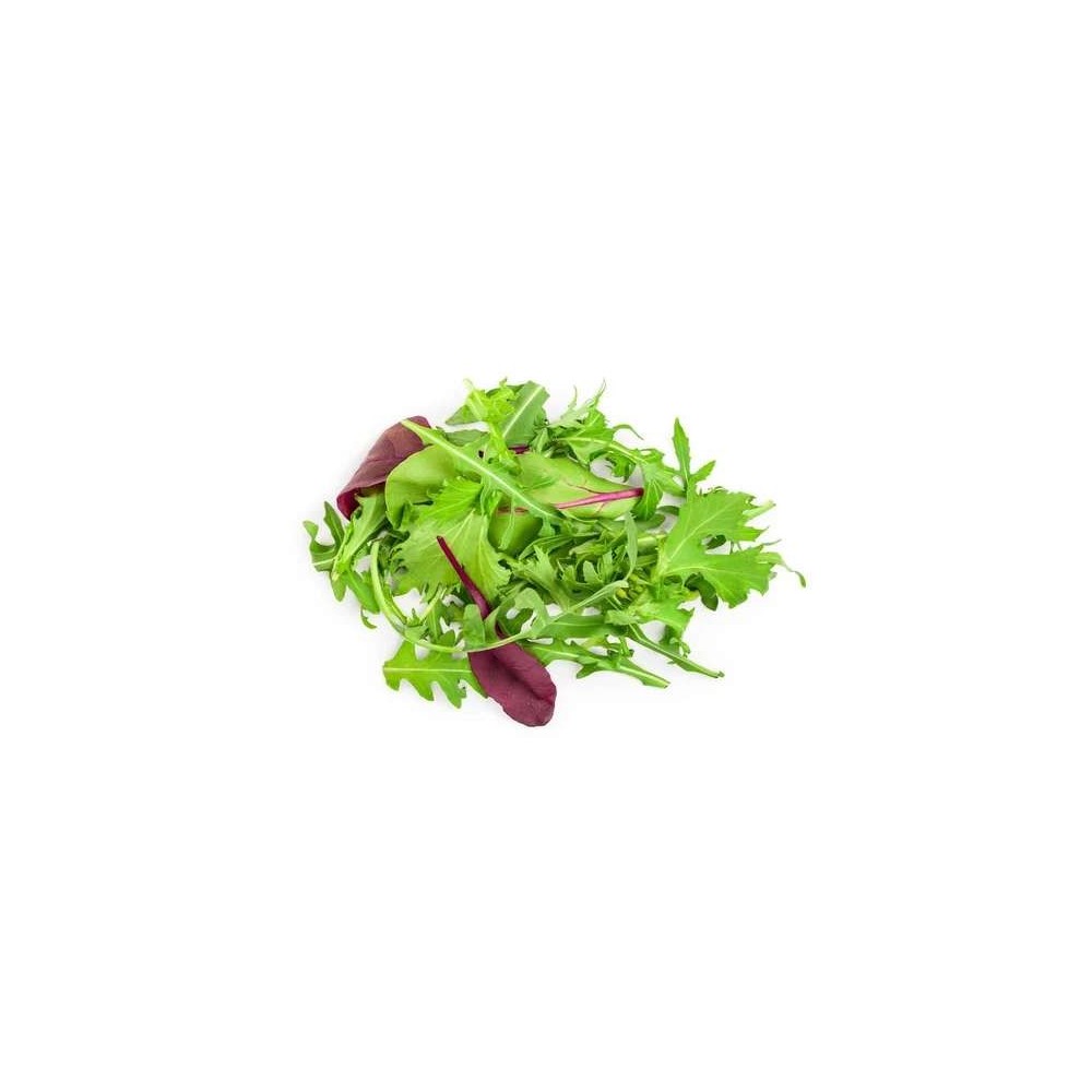 Jeunes pousses de salade "Mesclun" BIO du Finistère Nord - Direct producteur (Barquette de 125 g), France