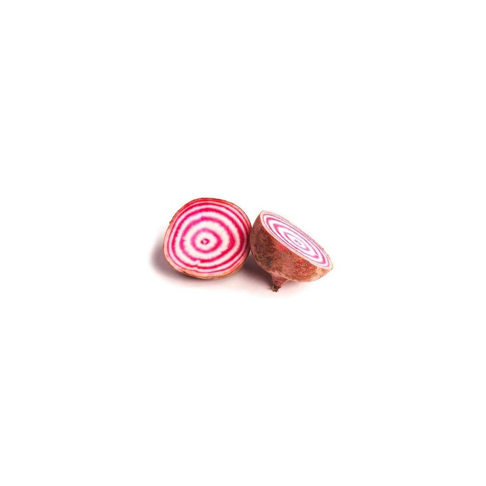 Betterave Chioggia BIO du Finistère Nord - Direct producteur, France