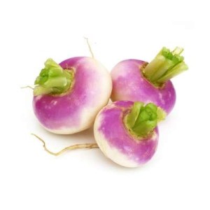 Navet violet nouveau BIO du Finistère nord - direct producteur, France