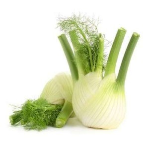 Fenouil BIO du Finistère nord - direct producteur (300 à 500 g) (calibre moyen), France