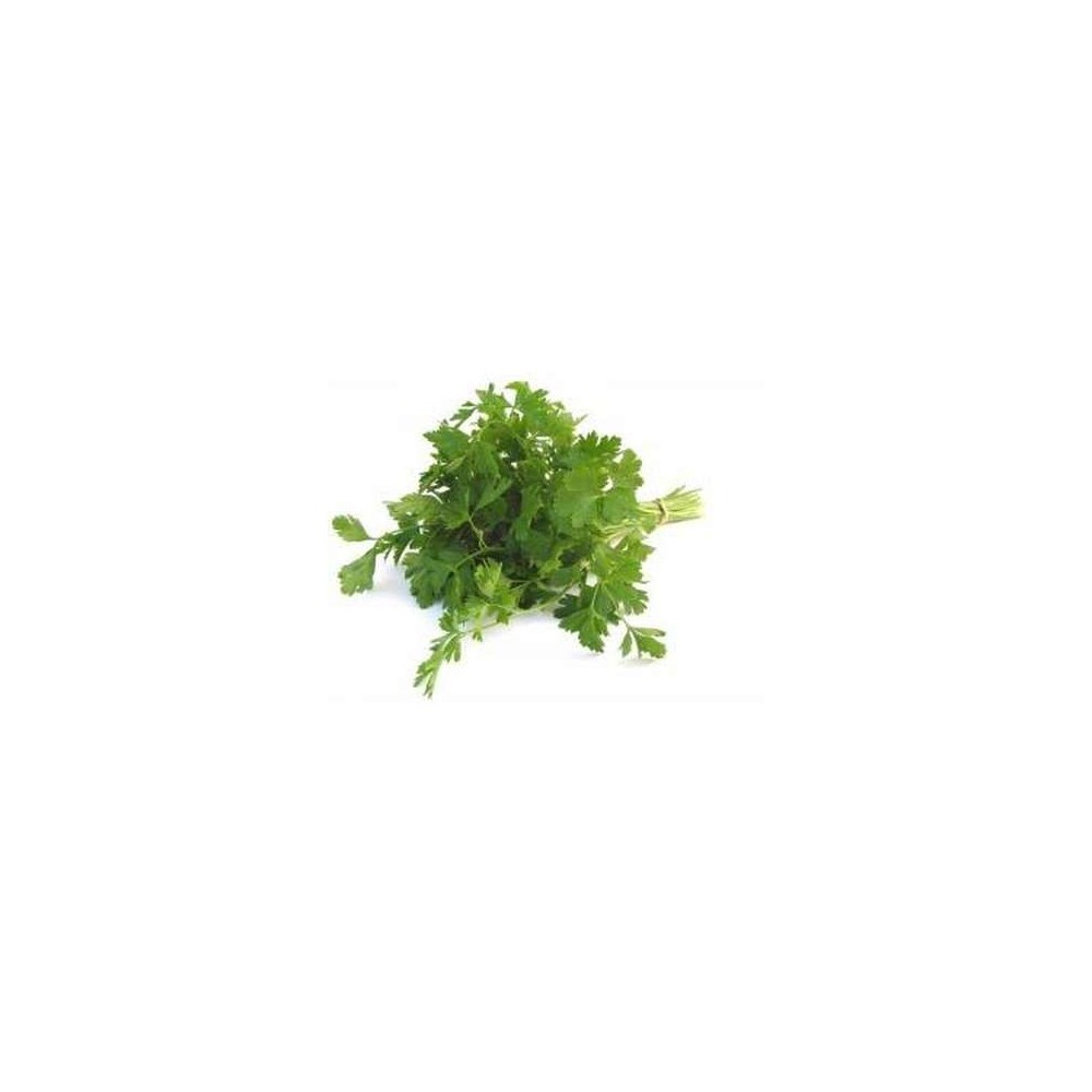 Persil plat BIO, France