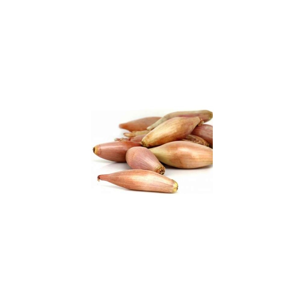 Echalote BIO du Sud-Ouest - Direct producteur (pack de 300 g), France