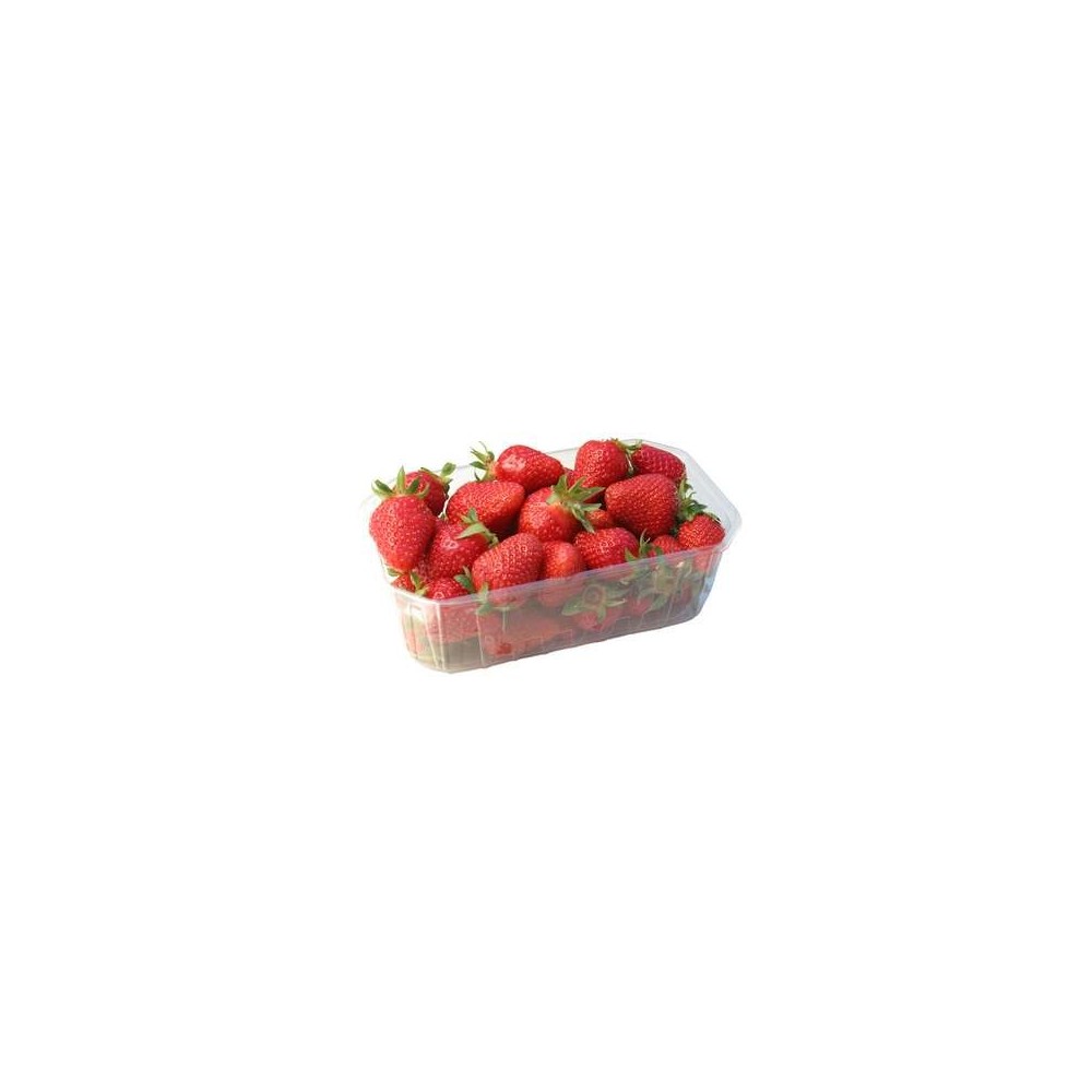 Barquette de fraises rondes du Loir-et-Cher (500 g), France