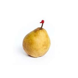 Poire Passe crassane du Loir-et-Cher (calibre moyen), France