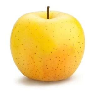 Pomme Golden du Loir-et-Cher (calibre moyen), France