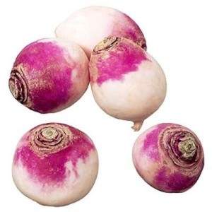 Navet violet des Hauts-de-France (filet de 1 kg), France