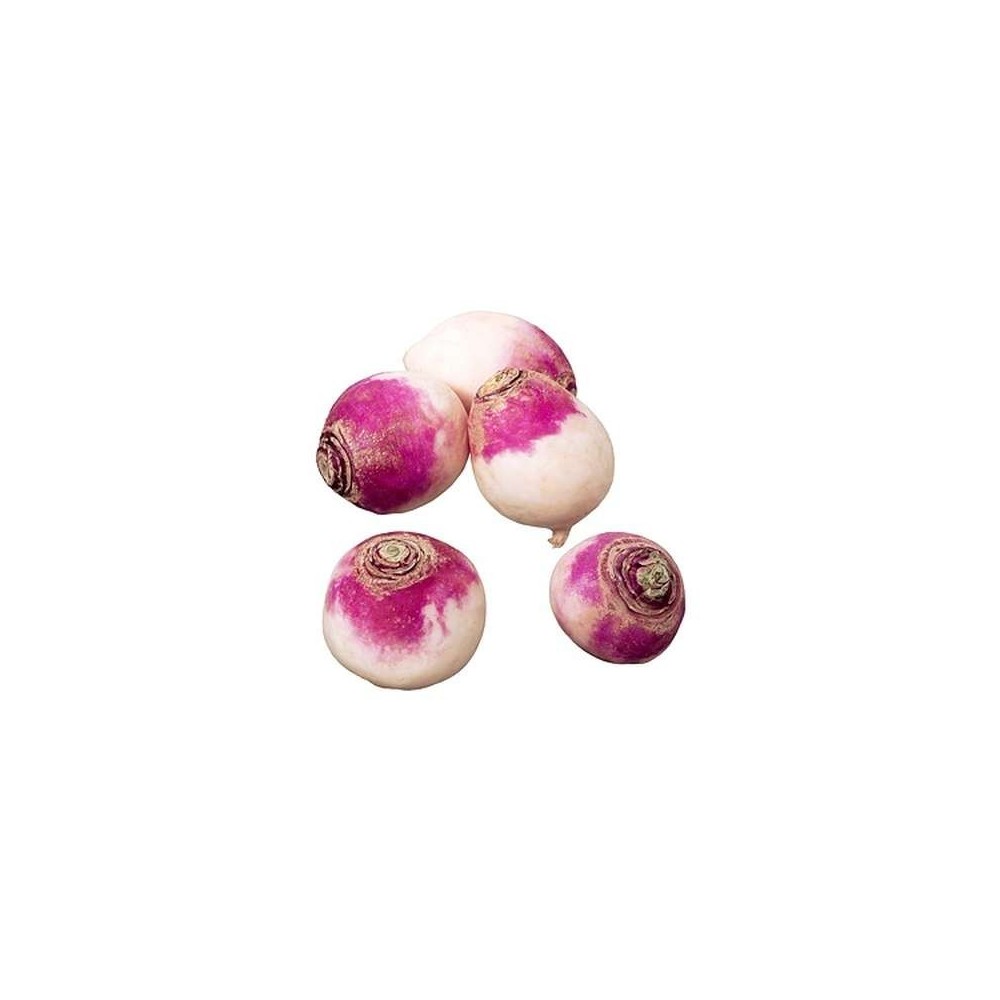 Navet violet des Hauts-de-France (filet de 1 kg), France