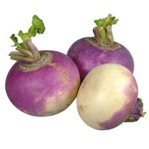 Navet violet des Hauts-de-France, France