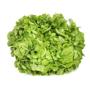 SUPER PRIX Salade feuille de chêne blonde HVE du Loiret, France