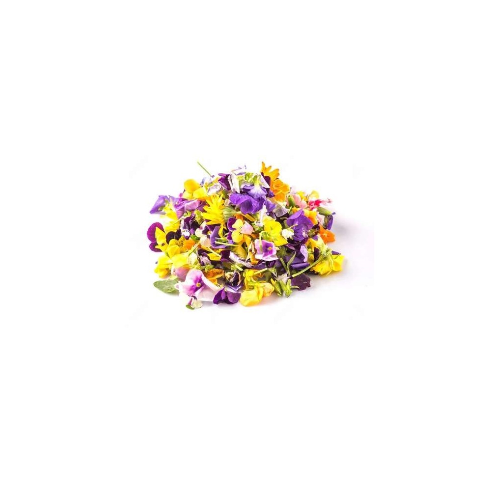 Fleurs comestibles panachées d'Ile-de-France (barquette de 30 à 40 fleurs), France