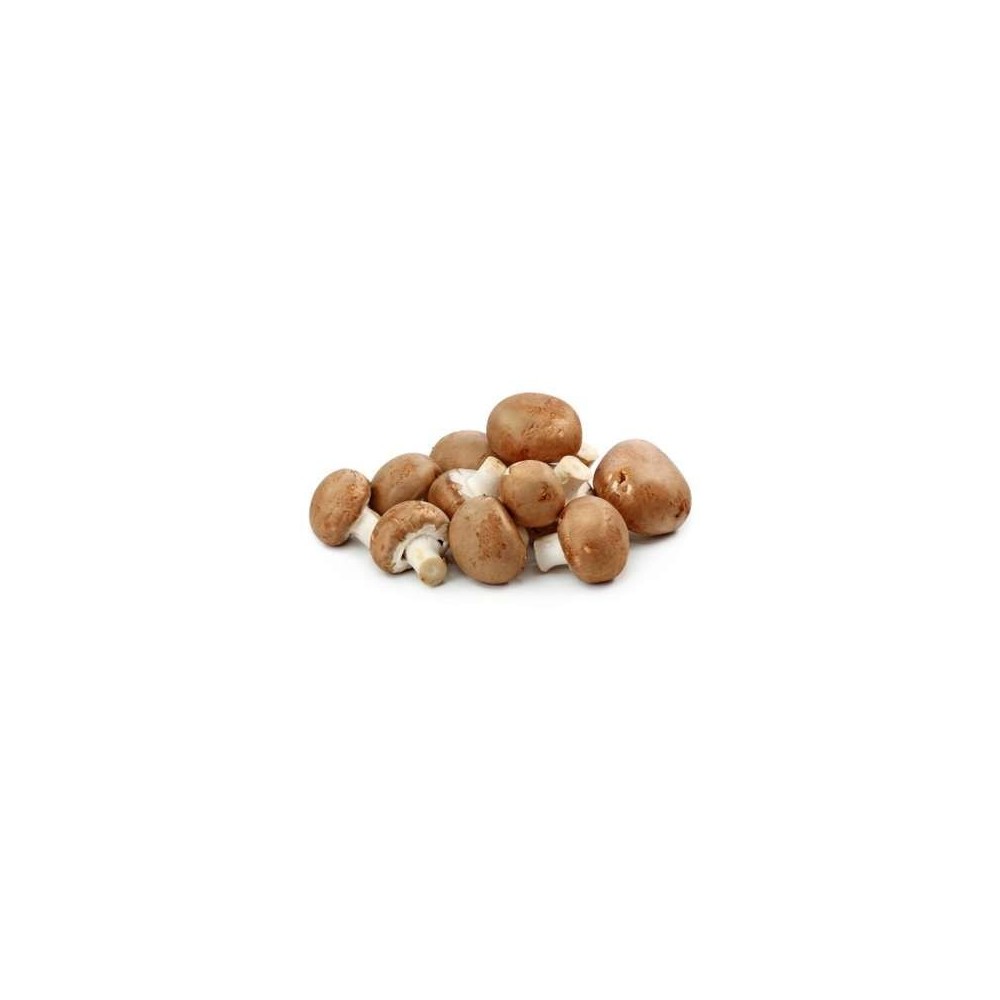 Champignons de Paris crème de L'Aisne (barquette de 500 g), France