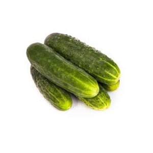 Cornichons frais BIO du Finistère Nord - Direct producteur (gros calibre), France