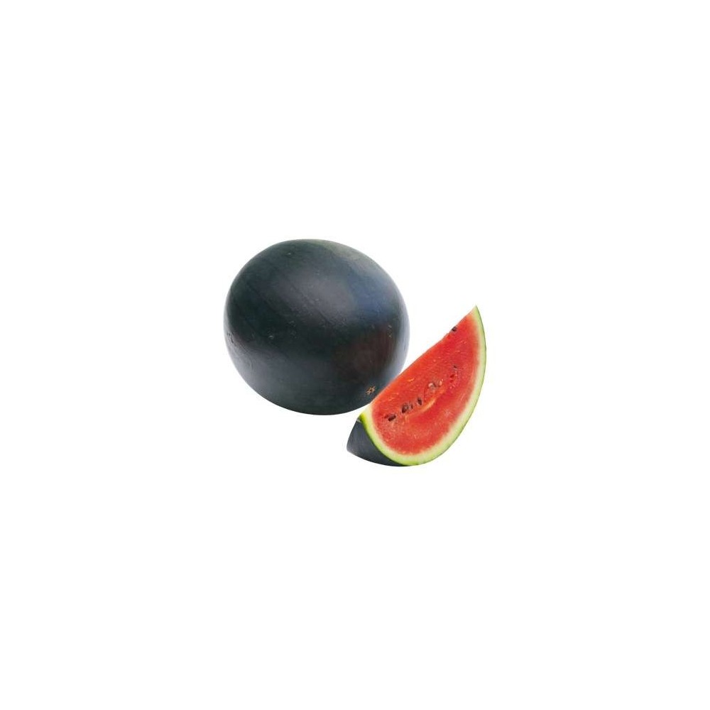 Baby pastèque noire d'Ille-et-Vilaine - direct producteur (de 0,7 à 0,9 kg) (petit calibre), France