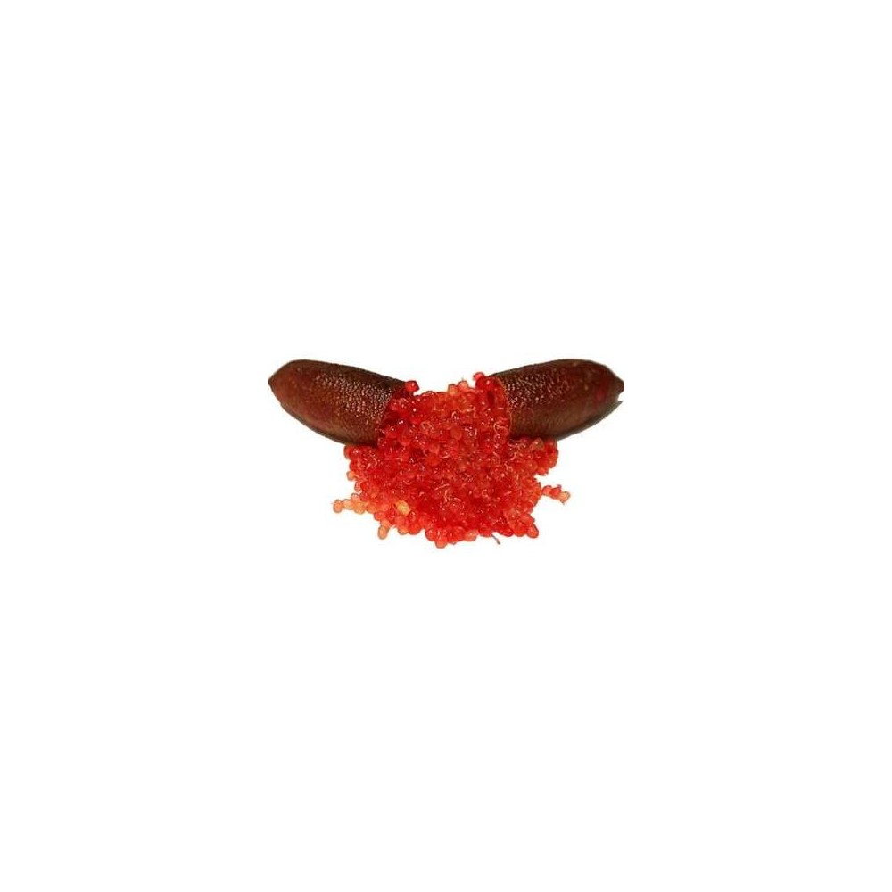 Citron caviar - perles rouge, Fruits at Home (30 g)